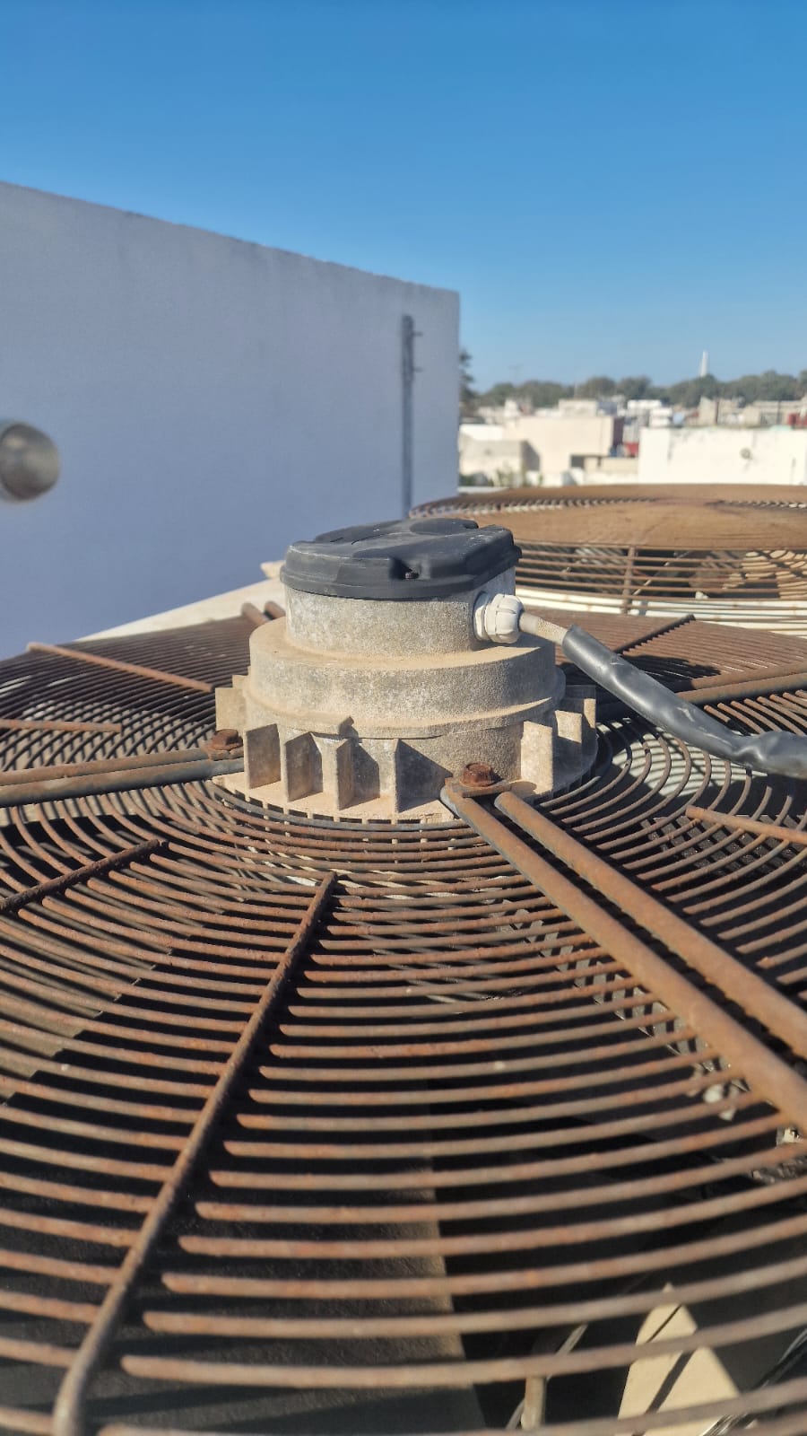 WhatsApp Image 2025-12-05 at 05.01.35