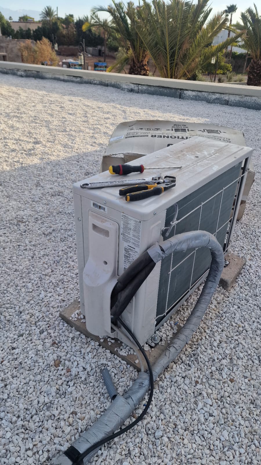 WhatsApp Image 2025-12-05 at 06.40.35 (1)