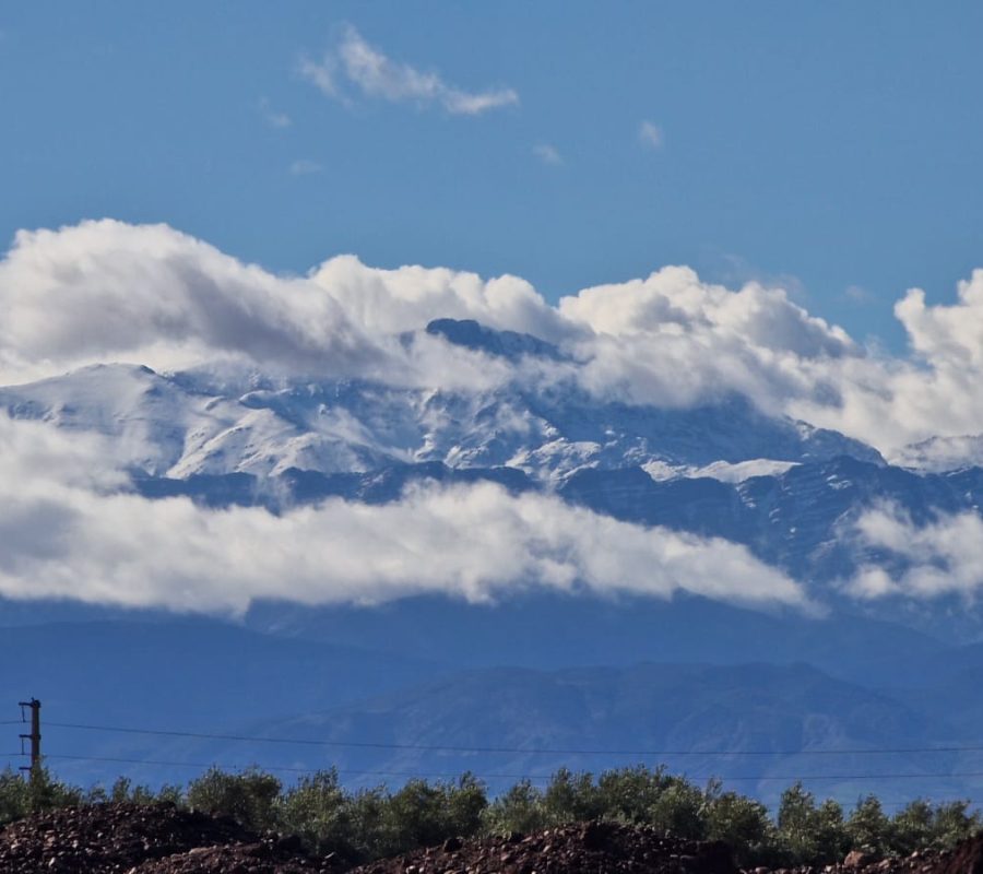 WhatsApp Image 2025-12-05 at 05.02.57 (2)